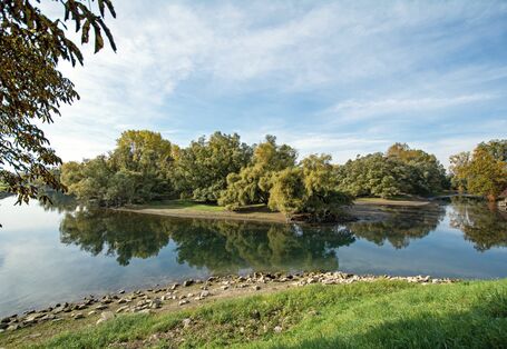 Das Bild zeigt den Altarm eines Flusses, dessen Ufer unbefestigt und von Wiesen und Baumgruppen gesäumt ist.