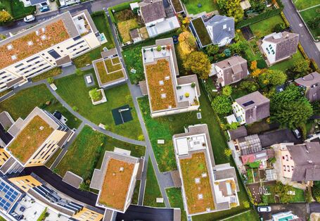 The picture shows an aerial view of a residential area consisting of single- and multi-family houses. There are patches of grass and trees amongst the buildings. The roofs of the multi-family houses are greened. 