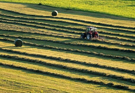 The picture shows a grassland with mown grass. The mown grass is lying in rows. In the right-hand margin a tractor can be seen turning hay. In the upper margin you can see a hay bale.