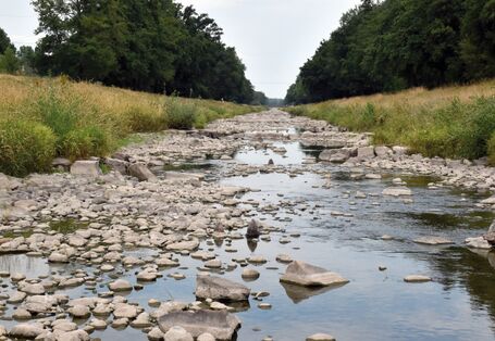 The picture shows a river with a low water level. There are smallish stones and large rocks projecting from the water. The river banks are covered in high grass. There is a woodland adjacent to the river bank.