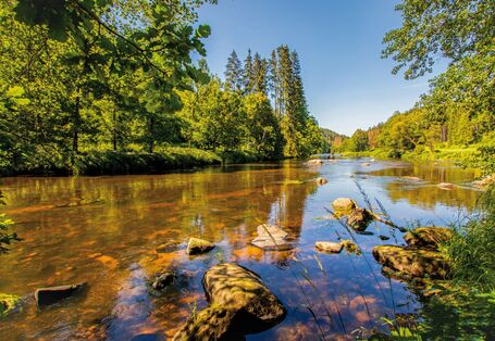 The picture shows a shallow, slow-flowing watercourse in sunny weather under a cloudless sky. Through the clear, reddish-brown shimmering water, the stony bed of the river is visible; some of the stones in the foreground project beyond the surface of the water. The banks are lined by mixed woodlands.