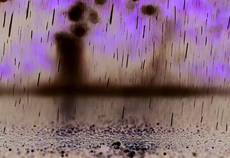 Das Bild zeigt Regen, der auf eine Asphaltfläche fällt. Im Hintergrund ist verschwommen Vegetation zu erkennen.