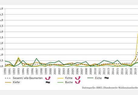 In einem Stapelsäulen-Diagramm ist der Anteil aller zufälligen Nutzungen am Gesamteinschlag in Prozent von 1991 bis 2012 angegeben. Durch Wind/Sturm verursachte zufällige Nutzungen und Übrige Ursachen ergänzen sich in den Balken jeweils auf 100 Prozent. Die Anteile schwanken zwischen den Jahren stark. Der Anteil von Wind/Sturm war vor allem in den Jahren 1991 mit 82 Prozent, 2000 mit 93 Prozent, 2007 mit 90 Prozent und 2008 und 2009 mit je etwa 72 Prozent am höchsten. Ein Trend ist bisher nicht erkennbar. E