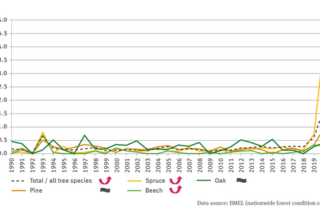 The line chart FW-I-4 ’Dieback rate’ shows – for the tree species of pine, spruce, beech and oak and for all these tree species combined – the crown defoliation mean in per cent for the period of 1990 to 2021. Up until 2018 the species-specific dieback rate fluctuated between 0.0 and 0.5 per cent. In those years, the dieback rate in respect of oak was mostly slightly higher than that of other tree species. In the years of 2019, 2020 and 2021 the dieback rates of all tree species increased distinctly. 
