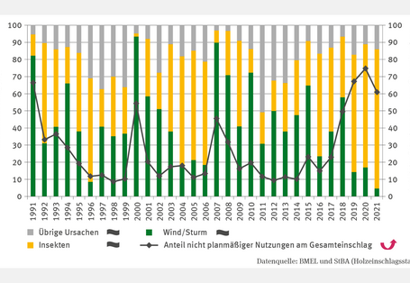 Das zweiachsige Diagramm FW-I-5 "Schadholz - Umfang nicht planmäßiger Nutzung" zeigt den Anteil nicht planmäßiger Nutzungen am Gesamteinschlag und die Schadursachen Wind/Sturm, Insekten sowie Übrige. Bis 1999 sank der Anteil nicht planmäßiger Nutzungen auf etwa 10 %, bevor 2000 und 2007 Werte von 45–55 % erreicht wurden. Ab 2016 stieg er signifikant auf 60 % (2021). Stürme prägten die Schadursachen 1991, 2000 und 2007, während zuletzt mit 80 % im Jahr 2021 Insekten dominierten.