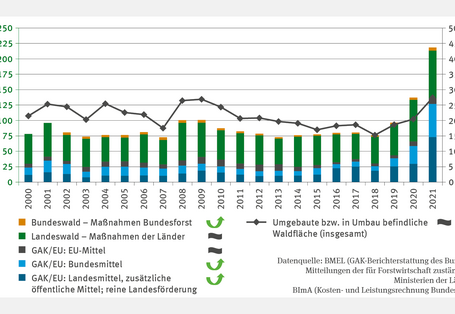 Die zweiachsige Abbildung FW-R-1 „Förderung des Waldumbaus“ zeigt die jährlichen Investitionen in den Waldumbau in Mio. Euro von 2000 bis 2021 als Stapelsäulen und die umgebaute Waldfläche in Hektar als Linie. Bis 2018 lagen die Investitionen zwischen 75 und 100 Mio. Euro, ab 2019 stiegen sie deutlich an. 2021 betrugen sie knapp 225 Mio. Euro, zunehmend finanziert aus GAK-Mitteln, dennoch bleiben Maßnahmen der Länder im Landeswald dominant. Die umgebaute Waldfläche zeigt jedoch keinen klaren Trend.