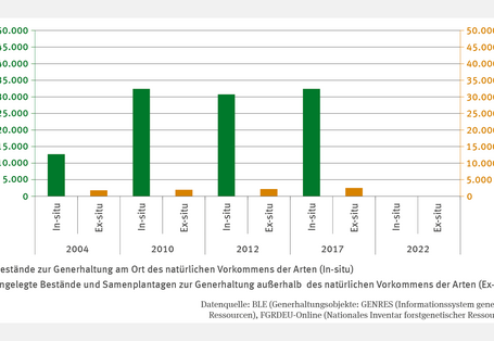 Das Säulendiagramm zeigt die Fläche von Beständen zur Generhaltung am Ort des natürlichen Vorkommens der Arten (In-situ) und angelegten Beständen und Samenplantagen zur Generhaltung außerhalb des natürlichen Vorkommens der Arten (Ex-situ) in den Jahren 2004, 2010, 2012, 2017 und 2022. Die Flächen der In-situ-Bestände ist von 2004 bis 2010 auf etwa 32.000 Hektar gestiegen. In den folgenden Erhebungsjahren verblieb diese Fläche auf einem ähnlichem Niveau. 