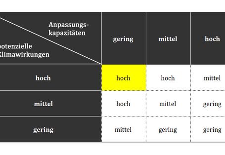 Die Höhe des Klimarisikos mit Anpassung ergibt sich aus einer Bewertung der potenziellen Klimawirkungen und der Anpassungskapazität.