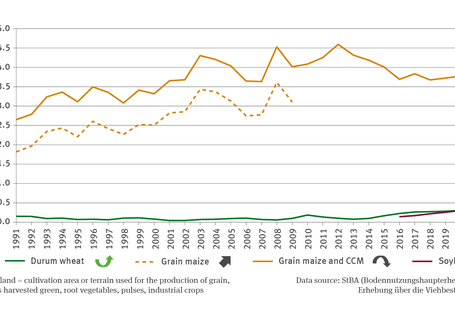 The line chart indicates – for the period of 1991 to 2021 – the proportion of the varieties durum, grain maize, grain maize combined with CCM as well as soybeans in terms of the size of the cultivation terrain in per cent. In this context the term ’cultivation terrain’ denotes the total cultivation area or terrain used for the production of grain cereals, plants harvested green, root vegetables, pulses and industrial crops. 