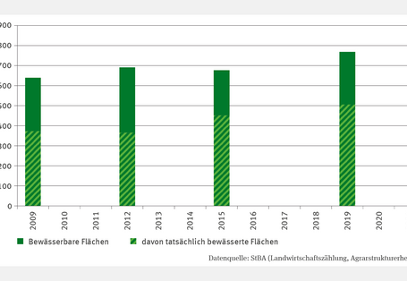 Das Säulendiagramm LW-R-6 "Landwirtschaftliche Bewässerung" zeigt die Bewässerbare Fläche und die davon tatsächlich bewässerte Fläche in Tausend Hektar in den Jahren 2009, 2012, 2015 und 2019. Im Jahr 2019 erreichten die bewässerbaren Flächen ihren Höchstwert mit knapp 800.000 Hektar. Die davon tatsächlich bewässerte Fläche lag in diesem Jahr ebenfalls am höchsten. Sie betrug 500.000 Hektar.