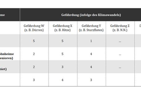 Exemplarischer Aufbau einer Screening-Matrix