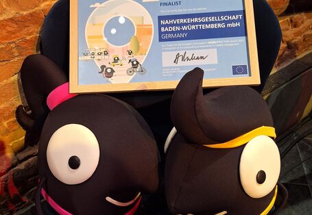 European Mobility Award