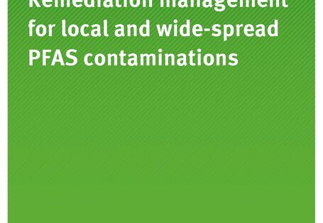 Cover of publication TEXTE 205/2020 Remediation management for local and wide-spread PFAS contaminations