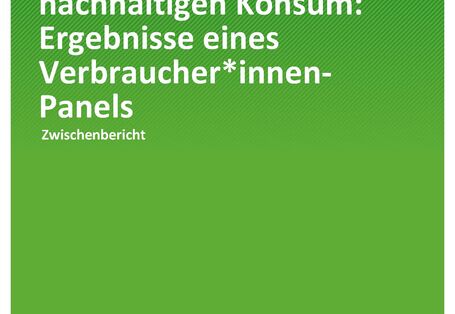 Cover der Publikation TEXTE 206/2020 Soziale Teilhabe durch nachhaltigen Konsum: Ergebnisse eines Verbraucher*innen-Panels
