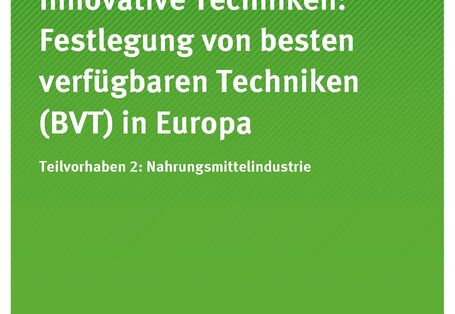 Cover der Publikation TEXTE 219/2020 Innovative Techniken: Festlegung von besten verfügbaren Techniken (BVT) in Europa Teilvorhaben