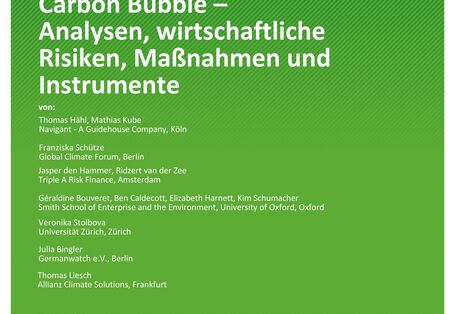 Cover der Publikation TEXTE 22/2021 Carbon Bubble – Analysen, wirtschaftliche Risiken, Maßnahmen und Instrumente