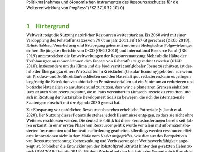 Titelseite des Policy Papers "Optionen für ökonomische Politikinstrumente zur Steigerung"