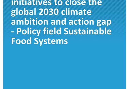 Cover of the publication Climate Change 13/2021 Options for multilateral initiatives to close the global 2030 climate ambition and action gap - Policy field Sustainable Food Systems
