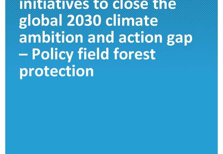 Cover of the publication Climate Change 14/2021 Options for multilateral initiatives to close the global 2030 climate ambition and action gap - Policy field forest protection