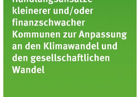 Cover der Publikation TEXTE 80/2021 Handlungsansätze kleinerer und/oder finanzschwacher Kommunen zur Anpassung an den Klimawandel und den gesellschaftlichen Wandel