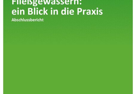 Titelseite der Publikation TEXTE 88/2021 Renaturierung von Fließgewässern: ein Blick in die Praxis  