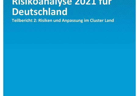 Titelseite der Publikation Climate Change 21/2021 Klimawirkungs- und Risikoanalyse für Deutschland 2021: Klimarisiken im Cluster Land