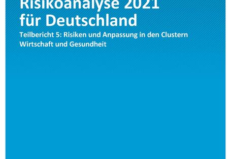 Titelseite der Publikation Climate Change 24/2021 Klimawirkungs- und Risikoanalyse für Deutschland 2021: Klimarisiken in den Clustern Wirtschaft und Gesundheit