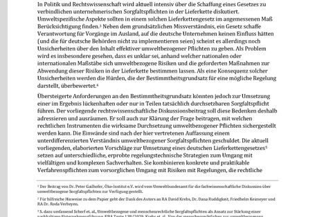 Cover des Fact-Sheet Rechtsfragen im Kontext einer Lieferkettenregulierung