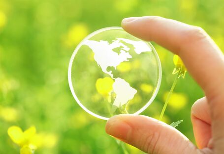 Two fingers hold a drawn globe. In the background you can see a green meadow of flowers.