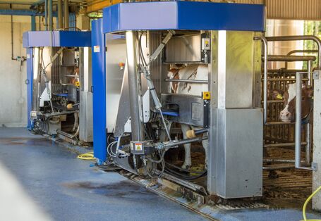 Das Bild zeigt einen Melkroboter zum autonomen Melken von Kühen in einem Kuhstall.