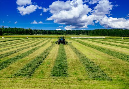 Ein Traktor erntet Heu