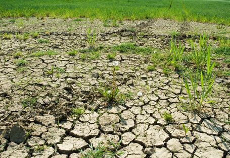 auf einer landwirtschaftlich genutzten Fläche ist ein ausgetrockneter, rissiger Boden als Folge von Dürre zu sehen