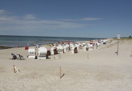 Das Bild zeigt einen Ostseestrand mit zahlreichen Strandkörben und dem Meer bei strahlendem Wetter.