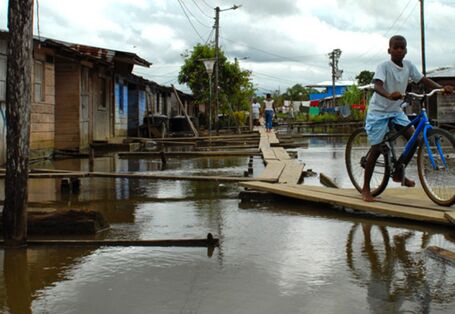 The picture shows a young dark-skinned woman from behind, riding a bicycle over a footbridge flooded with water. The bicycle is heavily loaded with a large sack and firewood.