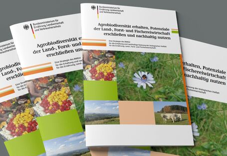Das Bild zeigt einen Stapel Broschüren mit dem Titel "Agrobiodiversität erhalten, Potenziale der Land-, Forst- und Fischereiwirtschaft erschließen und nachhaltig nutzen".