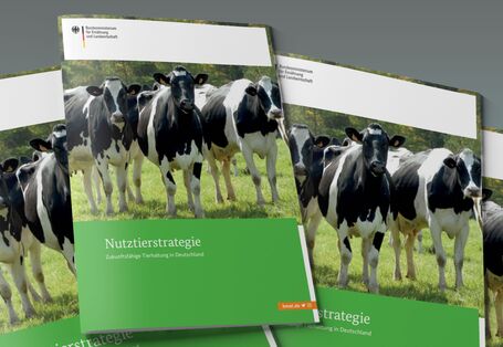 Das Bild zeigt einen Stapel Broschüren mit dem Titel "Nutztierstrategie".