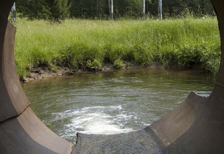 Auf dem Bild ist ein in ein Gewässer entwässernder Abwasserkanal zu sehen