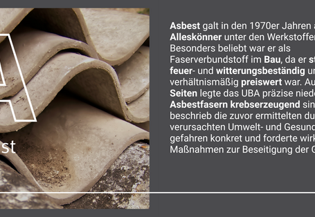 Eine Grafik mit einem Bild und Text. Es handelt sich hier um das Thema Asbest.