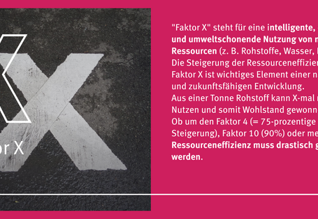 Eine Grafik mit einem Bild und Text. Es handelt sich hier um das Thema Faktor X. 