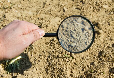 Auf dem Foto ist eine Hand zu sehen, die eine Lupe in Richtung Boden hält, um diesen genauer zu untersuchen. 