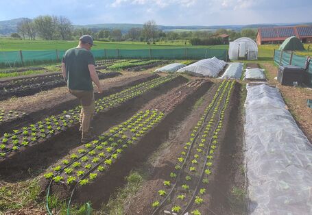 Wettbewerb Blauer Kompass stellt seine Bewerber vor, damit abgestimmt werden kann, welches Projekt gewinnt. Zu sehen das Projekt Hof Tolle mit seinem Market Gardening.
