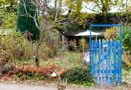 Ein Bild zeigt ein Gartentor vor einer wild bewachsenen Wiese bzw. einem Kleingarten. 