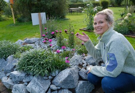 Wettbewerb Blauer Kompass stellt seine Bewerber vor, damit abgestimmt werden kann, welches Projekt gewinnt. Stiftung Ökowerk Emden: Ein Musterbeet im Ökowerk Emden.
