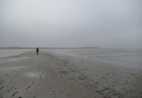 Wattenmeer bei Ebbe auf Norderney