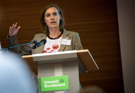 Vortragende steht gestikulierend am Rednerpult.