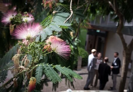 Teilnehmerinnen und Teilnehmer stehen im Atrium vor dem Eingang zum Workshop Raum. Der Blick geht im Vordergrund durch  Blätter und rote Blüten des Mimosenbaumes.