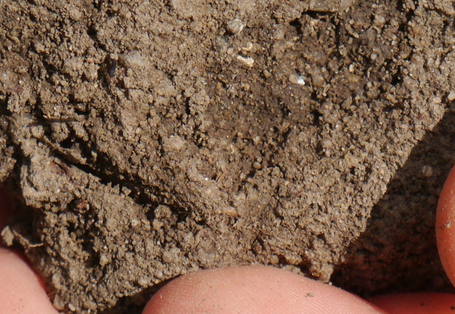 Ein Kind hält eine Hand voll Boden