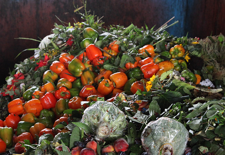 Lebensmittel im Müllkontainer