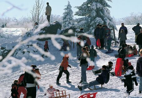 Eine Gruppe von diversen Menschen unterschiedlichen Alters stehen auf einem Schneeberg oder fahren Schlitten