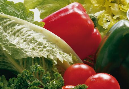 frischer Salat neben Paprika und Tomaten